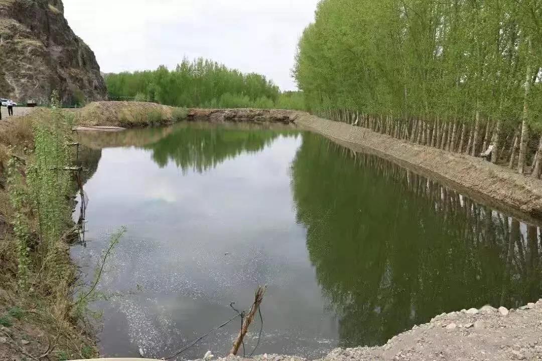 微信图片_20191223191041